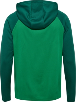 Kinder Hummel Lead 2.0 Kapuzen Trainingsjacke - Jelly bean/Evergreen